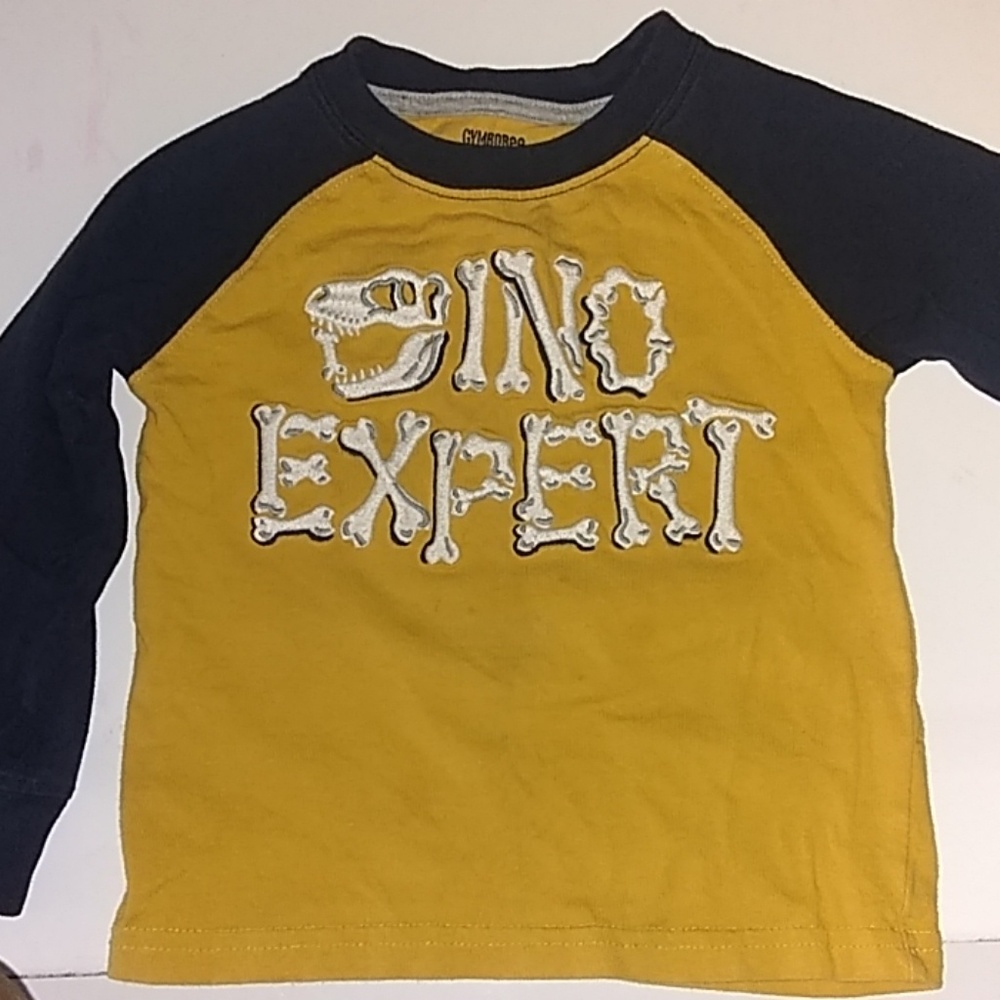 Toddlers dino shirt